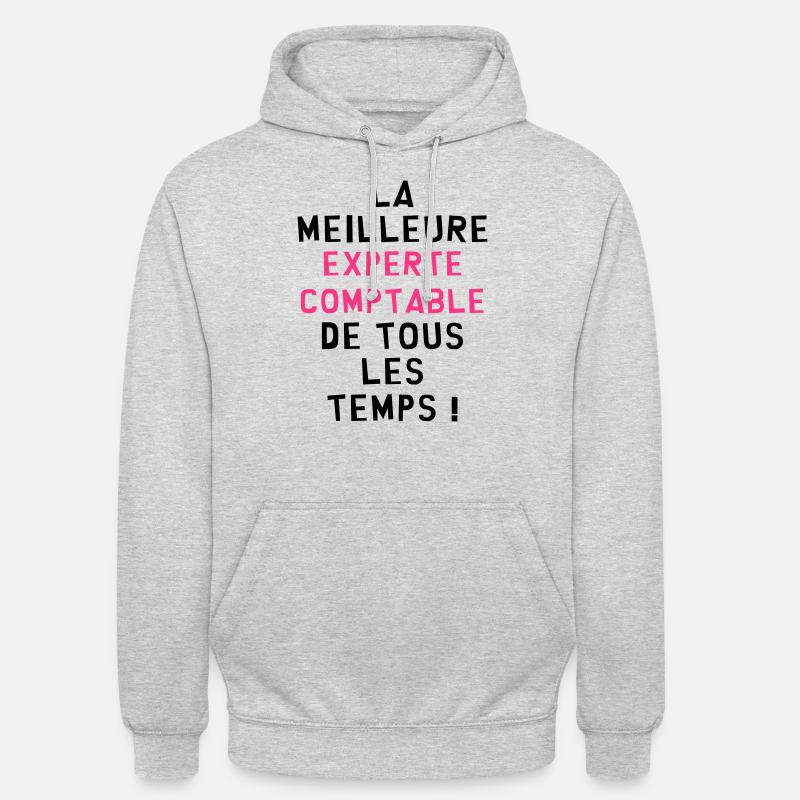 Expert Comptable / Comptabilité / Comptable / Sweat-shirt à capuche unisexe