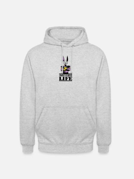 AnonyBeerus - Sweat-shirt à capuche unisexe - gris clair chiné