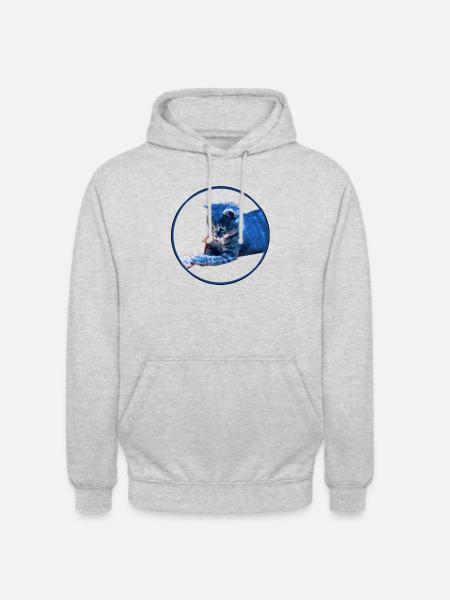 Playing kittens - Unisex Hoodie - light heather grey