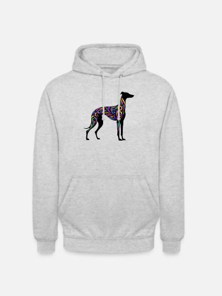 Rainbow Galgo - 20250605 - Unisex Hoodie - light heather grey