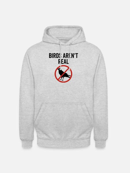 Birds Aren't Real - Unisex Hoodie - light heather grey