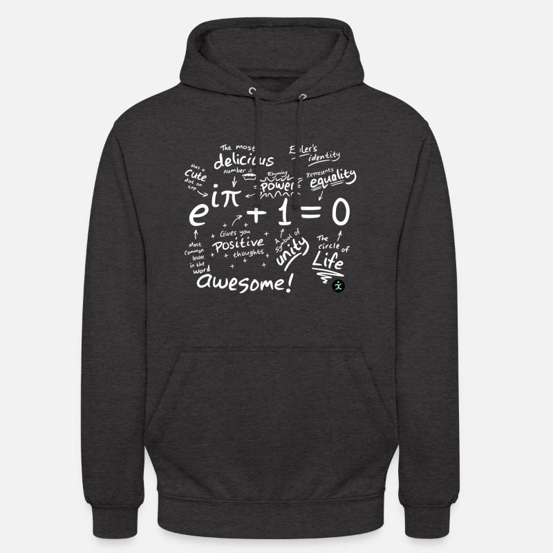 L’identité d’Euler - Sweat-shirt à capuche unisexe - charbon