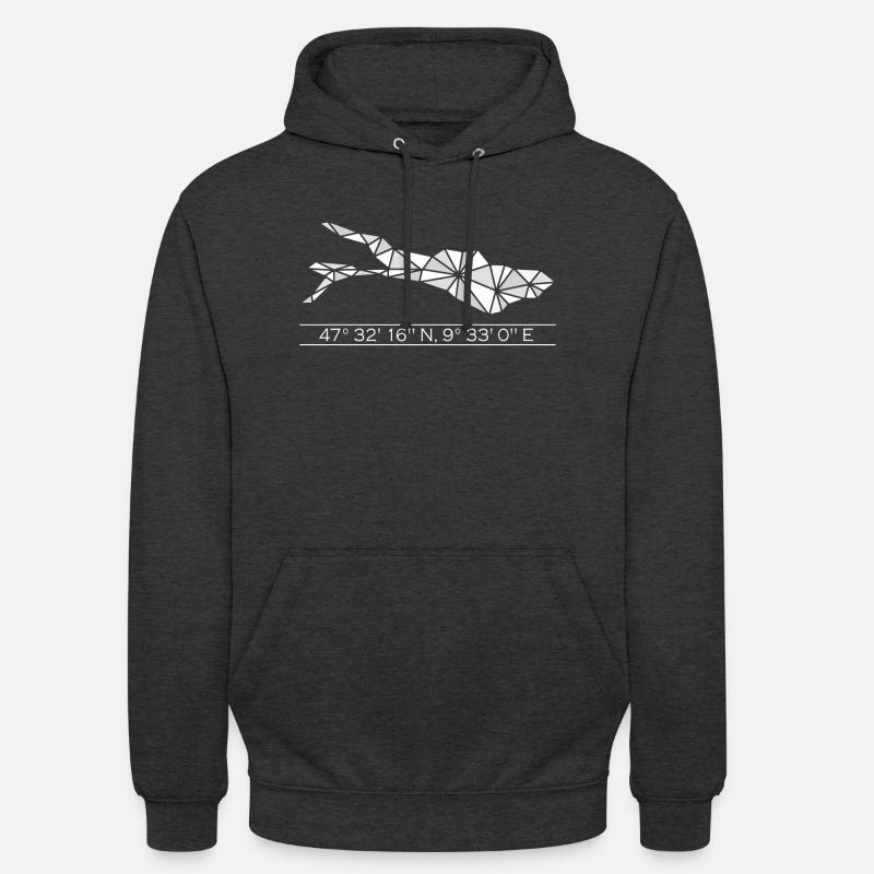 Lac de Constance | Coordonnées | Blanc - Sweat-shirt à capuche unisexe - charbon