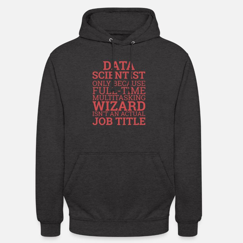 « Data Wizard » | Data Scientist - Sweat-shirt à capuche unisexe - charbon