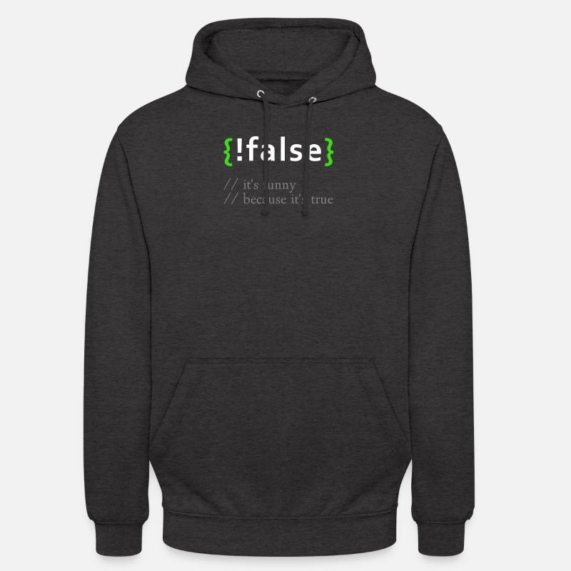 ! False - Lustige Codierung Programmierer Computerprogramm - Unisex Hoodie - Anthrazit