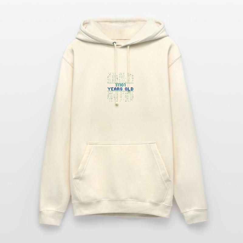 29th Birthday 29 years old Binary Code Coder Unisex Hoodie