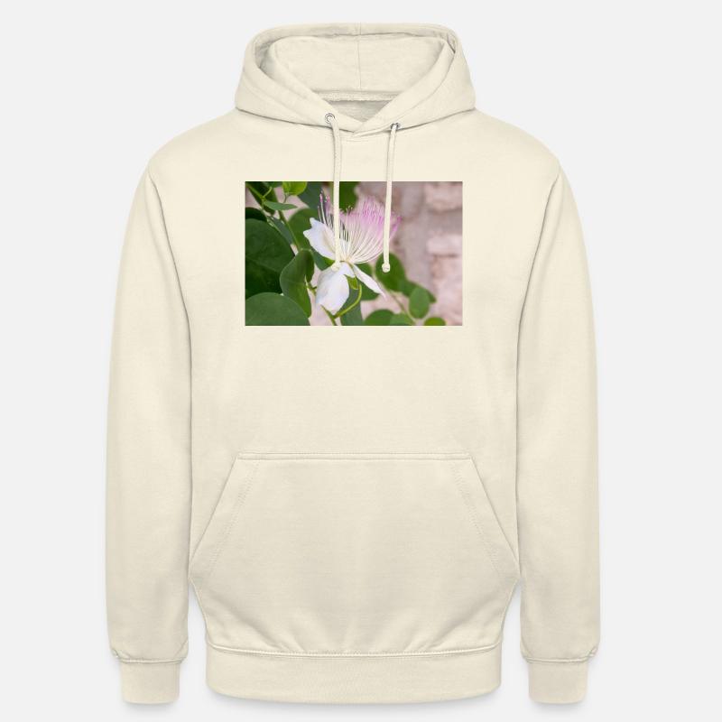 câpre aussi Flinders rose Capparis spinosa - Sweat-shirt à capuche unisexe - vanille