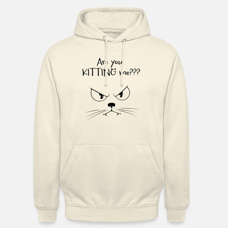 Êtes-vous en train de m’équiper??? - Sweat-shirt à capuche unisexe - vanille