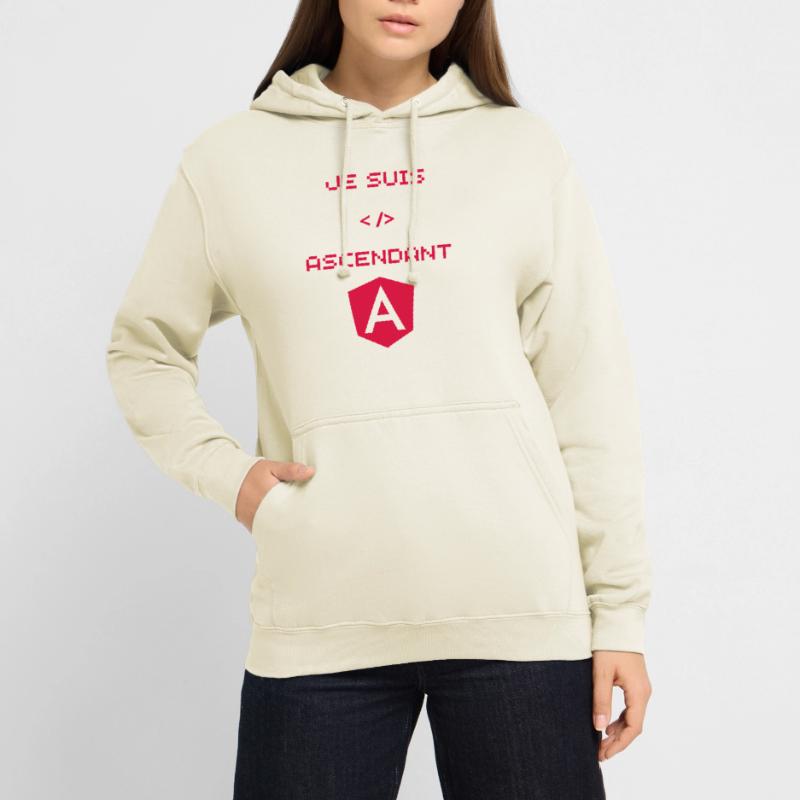 Angular Developer Gift Unisex Hoodie