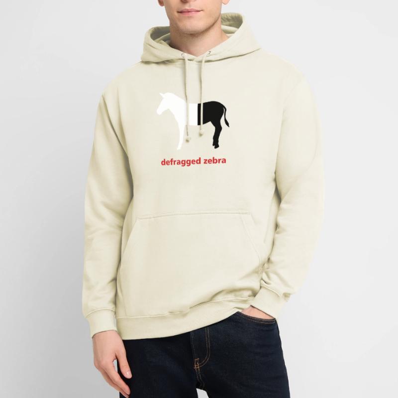 Defragged zebra Computer Science Programming Gift Unisex Hoodie