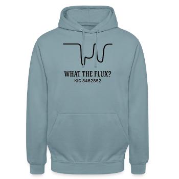 What the Flux? - Unisex Hoodie - Nebelblau - Vorne - Alina (178cm) & Michal (187cm)