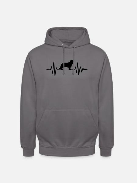 Cavalier King Charles - Unisex Hoodie - Mittelgrau