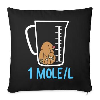 Science teaching - Sofa pillowcase 17,3'' x 17,3'' (45 x 45 cm) - black - Front