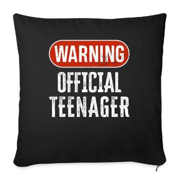 13th Birthday Boy Official Teenager - Sofa pillowcase 17,3'' x 17,3'' (45 x 45 cm) - black - Front