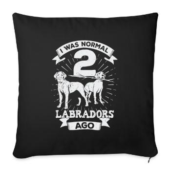 Deux Labrador Retriever Dog Dog Owner Gift - Housse de coussin décorative 45 x 45 cm - noir - Devant