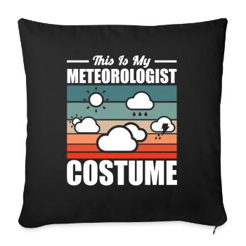 Meteorologist saying gift meteorology - Sofa pillowcase 17,3'' x 17,3'' (45 x 45 cm) - black - Front