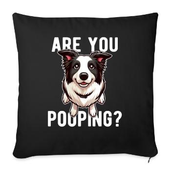 Faites-vous caca ? Drôle Collie Chien Spirituel - Housse de coussin décorative 45 x 45 cm - noir - Devant