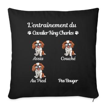 Carte humoristique pour l'éducation canine - Housse de coussin décorative 45 x 45 cm - noir - Devant