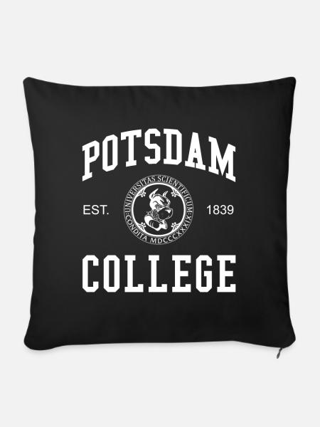 Potsdam College University Universität Hochschule - Sofakissenbezug 45 x 45 cm - Schwarz