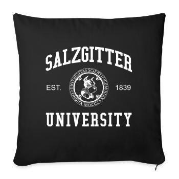 Salzgitter University University University of Applied Sciences - Sofa pillowcase 17,3'' x 17,3'' (45 x 45 cm) - black - Front