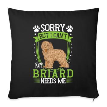 Briard can't beat Berger de Brie - Sofa pillowcase 17,3'' x 17,3'' (45 x 45 cm) - black - Front