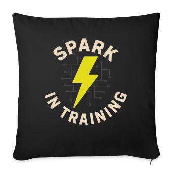 Apprentice electrician, student in the electrical trade - Sofa pillowcase 17,3'' x 17,3'' (45 x 45 cm) - black - Front