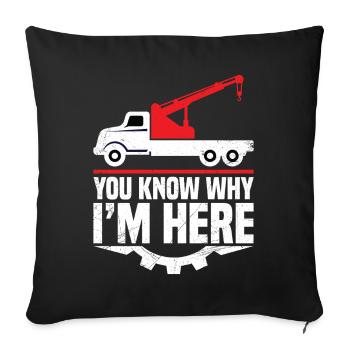 Agent de saisie de voitures Asset Recovery Repoman - Housse de coussin décorative 45 x 45 cm - noir - Devant