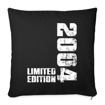 Cadeau d'anniversaire 22 ans 2004 Homme Femme - Housse de coussin décorative 45 x 45 cm - noir - Devant