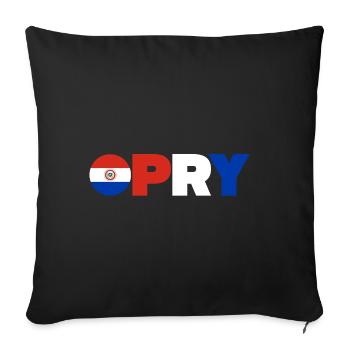 Paraguay - Sofa pillowcase 17,3'' x 17,3'' (45 x 45 cm) - black - Front