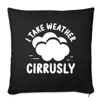Meteorologist I take weather forecast Weathermen - Sofa pillowcase 17,3'' x 17,3'' (45 x 45 cm) - black - Front