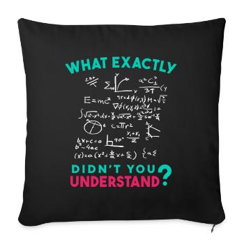 Physics Math Formula Joke - Sofa pillowcase 17,3'' x 17,3'' (45 x 45 cm) - black - Front