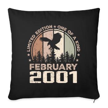 Incomparable since February 2001, 23rd Anniversary - Sofa pillowcase 17,3'' x 17,3'' (45 x 45 cm) - black - Front