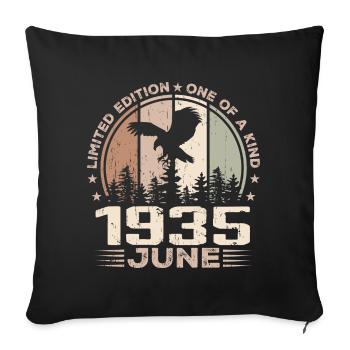 Incomparable since June 1935, 89th Anniversary - Sofa pillowcase 17,3'' x 17,3'' (45 x 45 cm) - black - Front