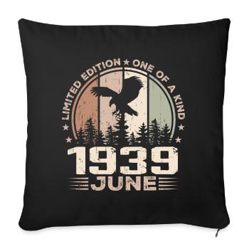 Incomparable since June 1939, 85th Anniversary - Sofa pillowcase 17,3'' x 17,3'' (45 x 45 cm) - black - Front