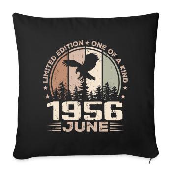 Incomparable since June 1956, 68th Anniversary - Sofa pillowcase 17,3'' x 17,3'' (45 x 45 cm) - black - Front