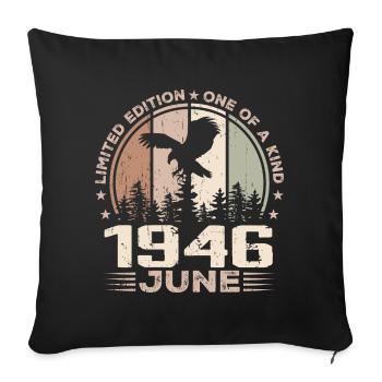 Incomparable since June 1946, 78th Anniversary - Sofa pillowcase 17,3'' x 17,3'' (45 x 45 cm) - black - Front