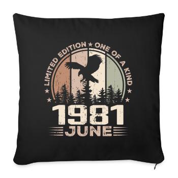 Incomparable since June 1981, 43rd Anniversary - Sofa pillowcase 17,3'' x 17,3'' (45 x 45 cm) - black - Front