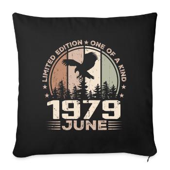 Incomparable since June 1979, 45th Anniversary - Sofa pillowcase 17,3'' x 17,3'' (45 x 45 cm) - black - Front