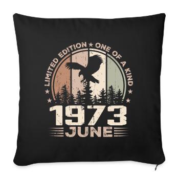Incomparable since June 1973, 51st Anniversary - Sofa pillowcase 17,3'' x 17,3'' (45 x 45 cm) - black - Front
