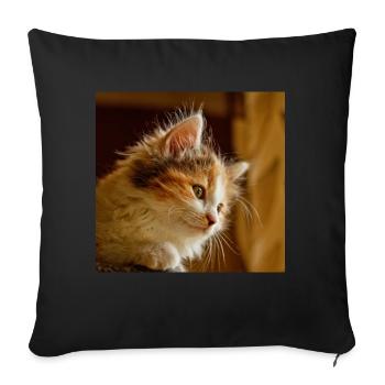 cat cat mask cat mask mask cats - Sofa pillowcase 17,3'' x 17,3'' (45 x 45 cm) - black - Front