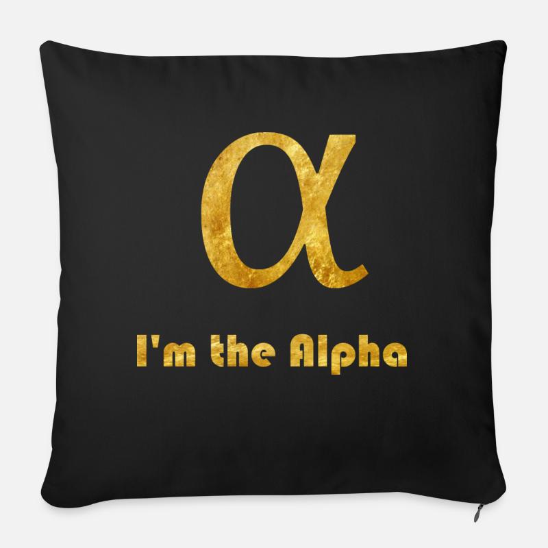 Alpha - Sofakissenbezug 45 x 45 cm - Schwarz