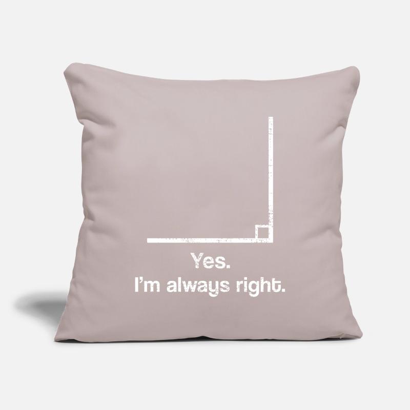 Math advanced course saying Sofa pillowcase 17,3'' x 17,3'' (45 x 45 cm)