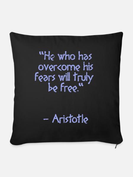 Aristoteles Zitat - He who has | Weisheit - Pudebetræk 45 x 45 cm - sort