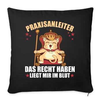 Praxisanleiter lustiger Spruch - Sofakissenbezug 45 x 45 cm - Schwarz - Vorne