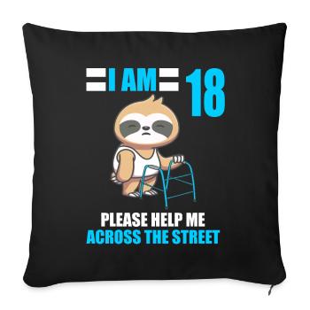 18 please help me across road 18th birthday - Sofa pillowcase 17,3'' x 17,3'' (45 x 45 cm) - black - Front