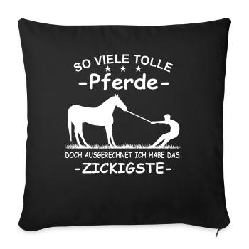 So viele tolle Pferde Führungskraft Pferd Reiterin - Sofakissenbezug 45 x 45 cm - Schwarz - Vorne