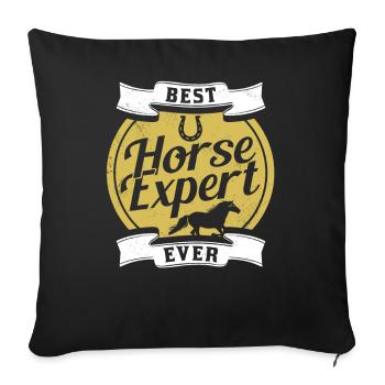 Bester Pferdeexperte Aller Zeiten Reiten Pferd - Sofakissenbezug 45 x 45 cm - Schwarz - Vorne