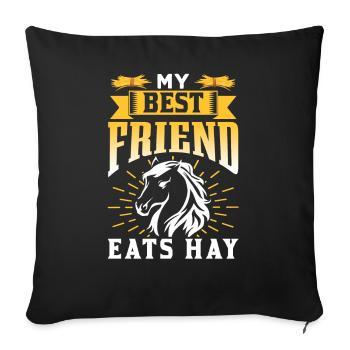 Mein Bester Freund Frisst Heu Reiten Pferd - Sofakissenbezug 45 x 45 cm - Schwarz - Vorne