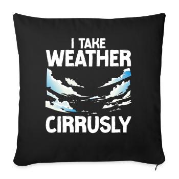 Meteorologist Weather Forecast - Sofa pillowcase 17,3'' x 17,3'' (45 x 45 cm) - black - Front