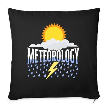 Meteorologist Weather Forecast - Sofa pillowcase 17,3'' x 17,3'' (45 x 45 cm) - black - Front